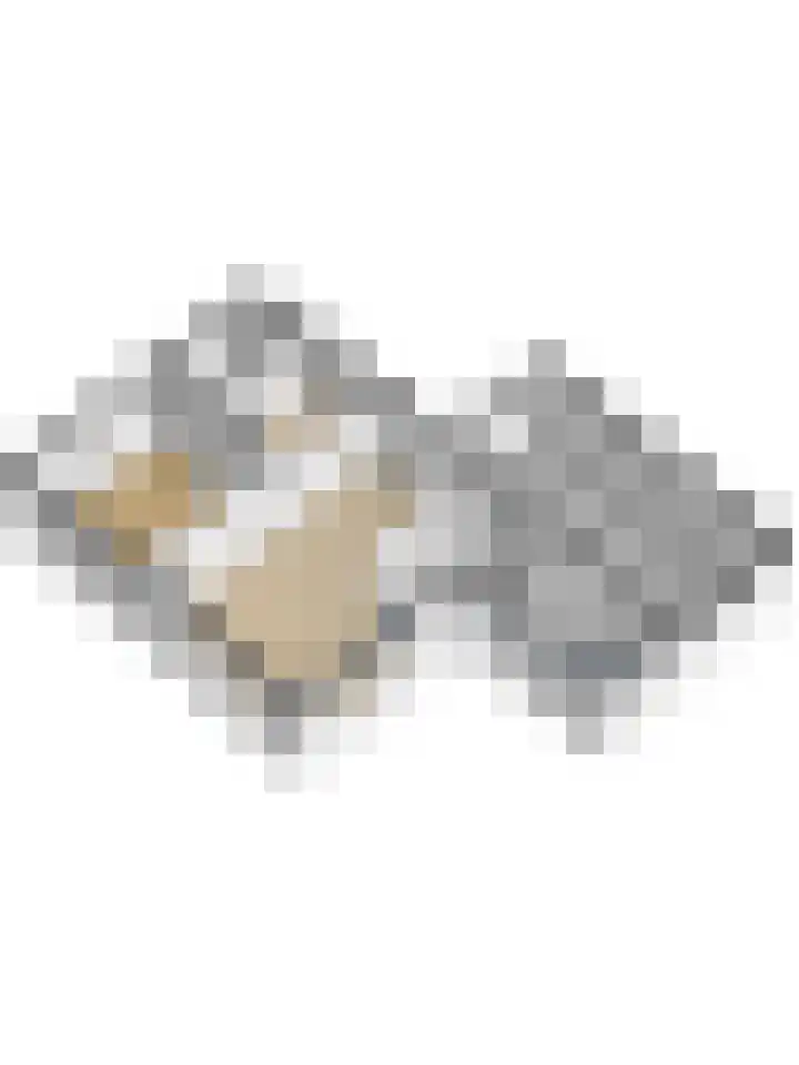 Raardaburren 2 Workum thumbnail 31