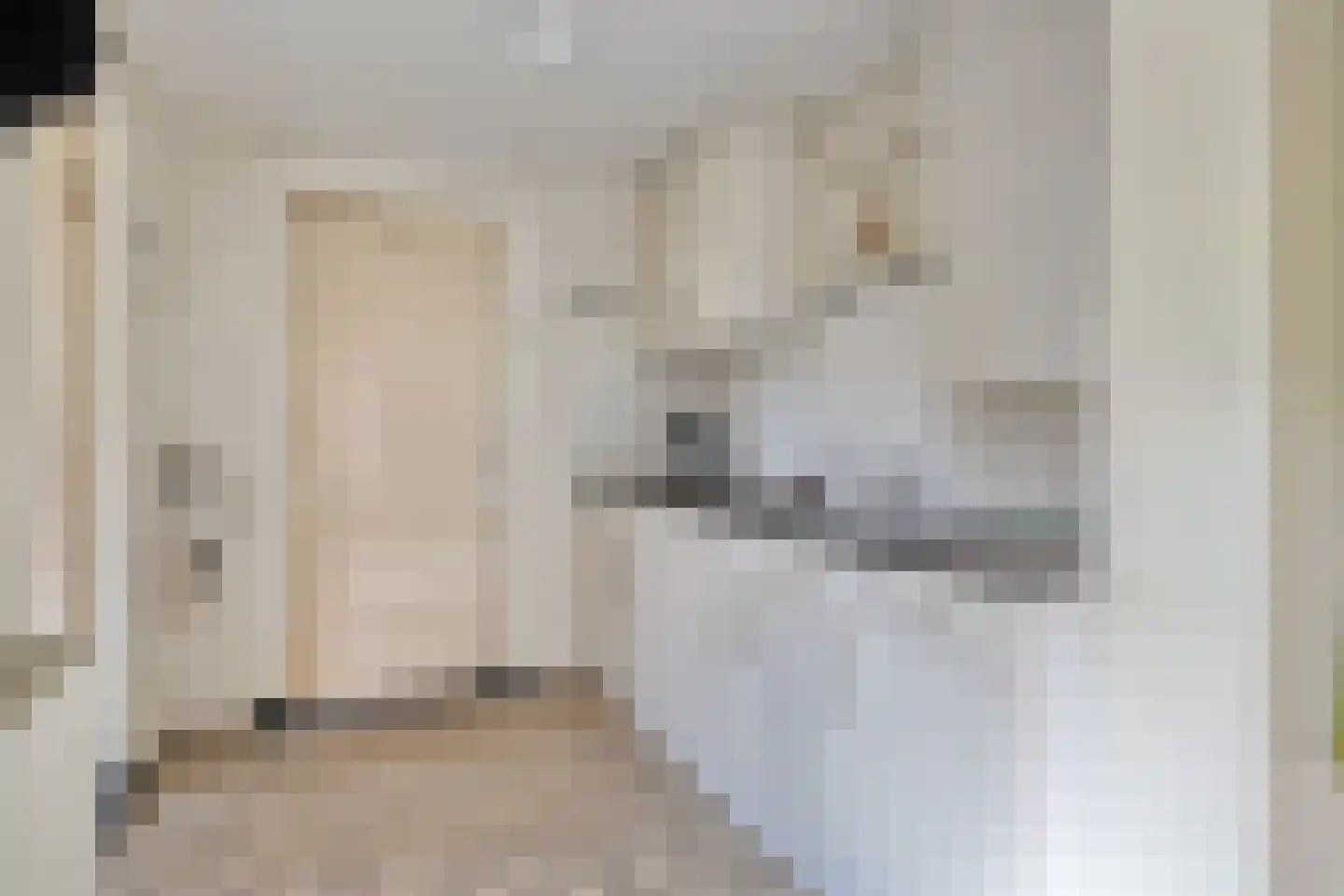 Raarhoeksweg 37 Raalte thumbnail 10