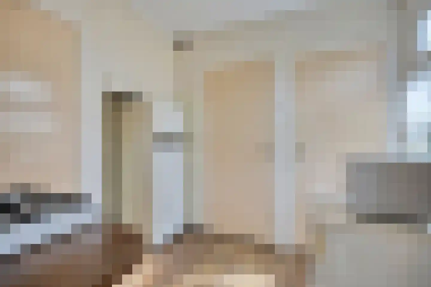 Raarhoeksweg 37 Raalte thumbnail 11
