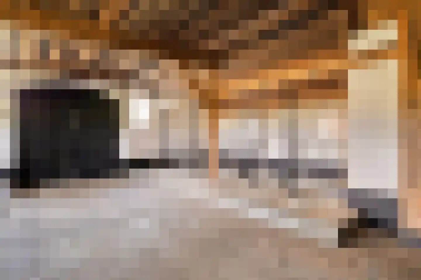 Raarhoeksweg 37 Raalte thumbnail 14