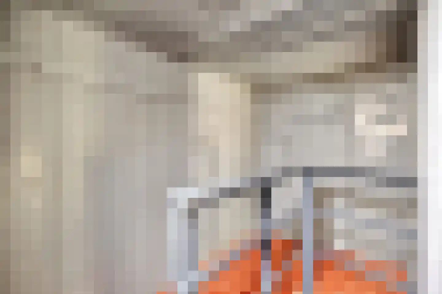 Raarhoeksweg 37 Raalte thumbnail 15