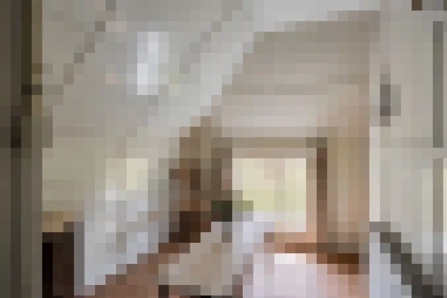 Raarhoeksweg 37 Raalte thumbnail 16