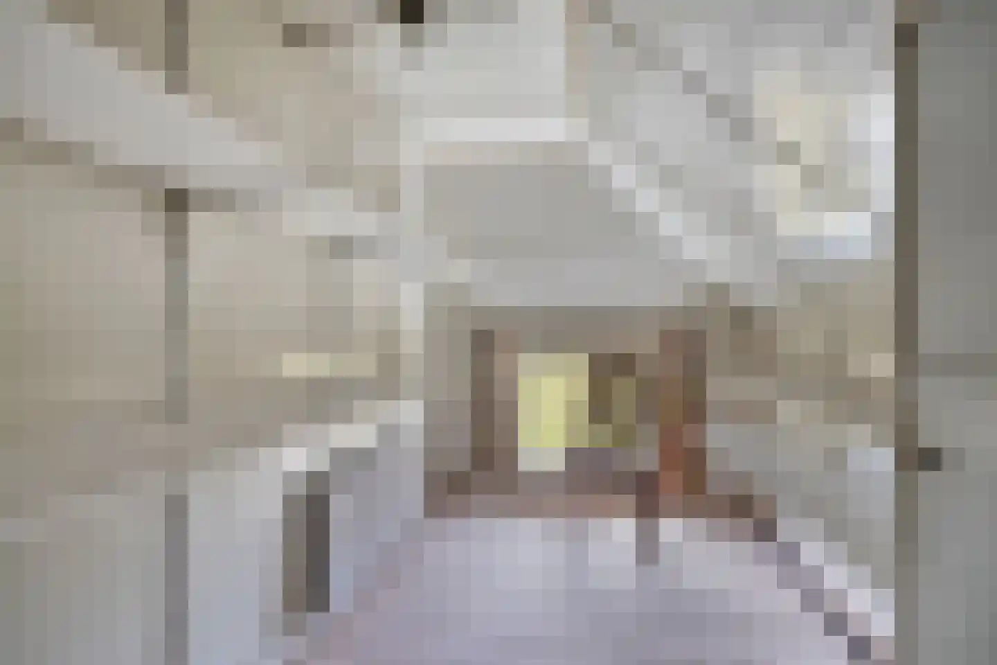 Raarhoeksweg 37 Raalte thumbnail 17