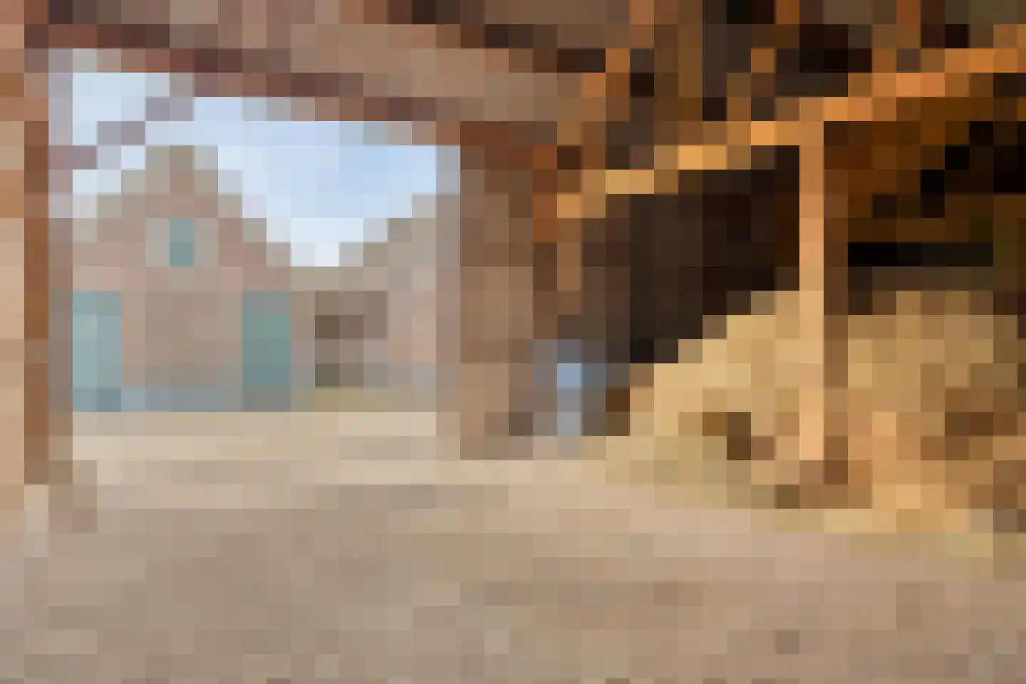 Raarhoeksweg 37 Raalte thumbnail 20