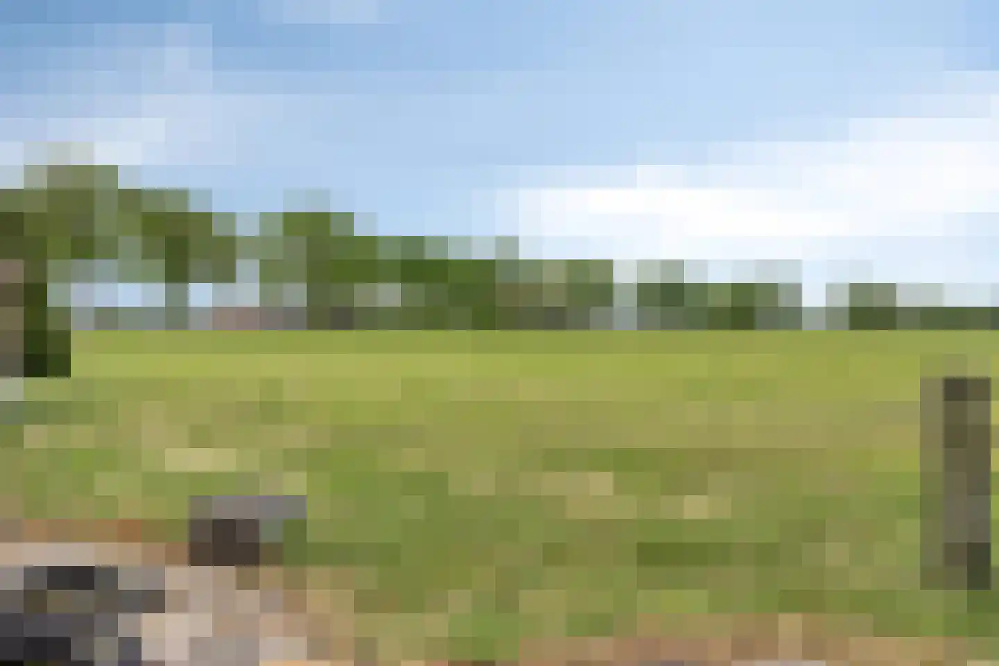 Raarhoeksweg 37 Raalte thumbnail 23
