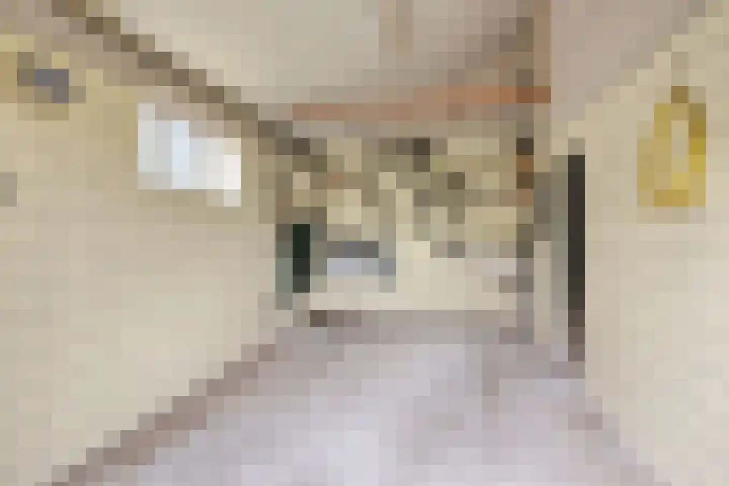 Raarhoeksweg 37 Raalte thumbnail 27