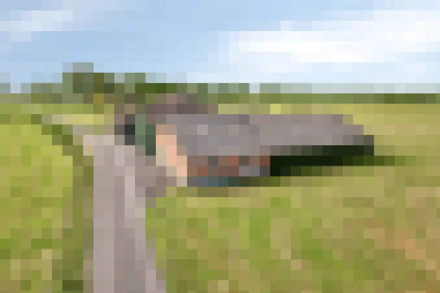 Raarhoeksweg 37 Raalte thumbnail 29