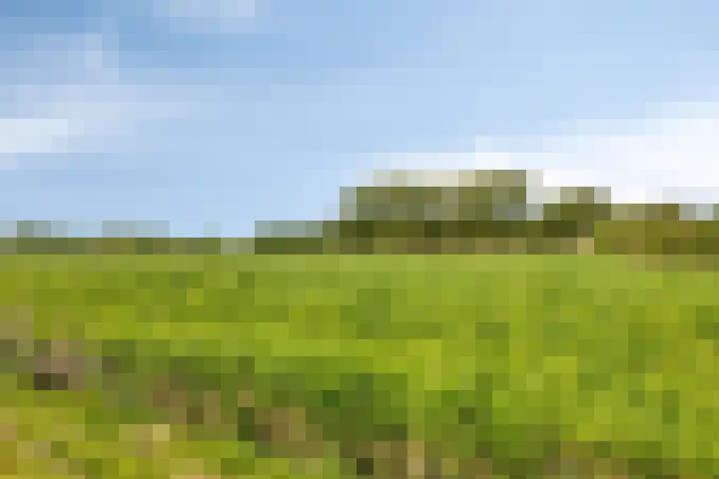 Raarhoeksweg 37 Raalte thumbnail 31