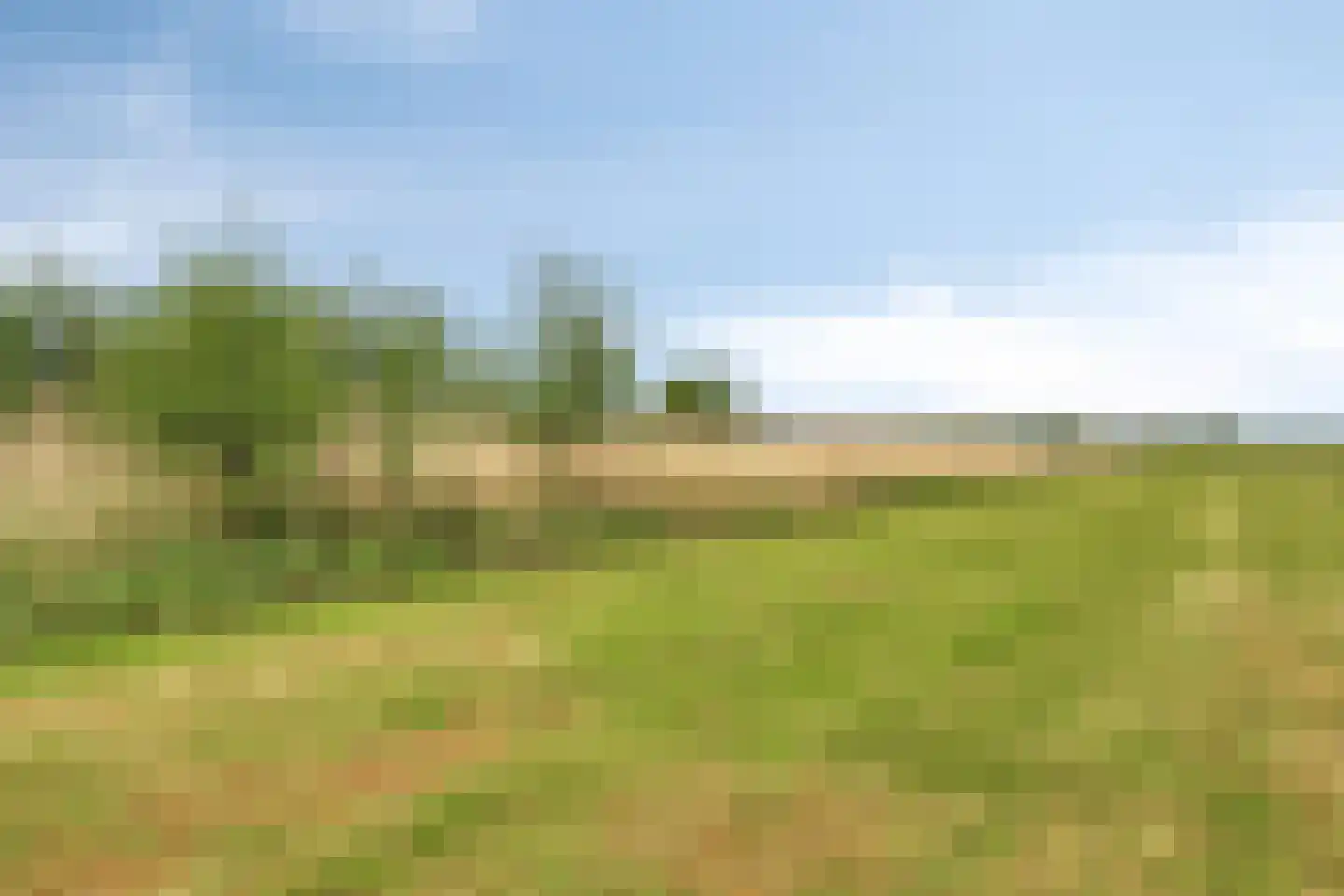 Raarhoeksweg 37 Raalte thumbnail 32