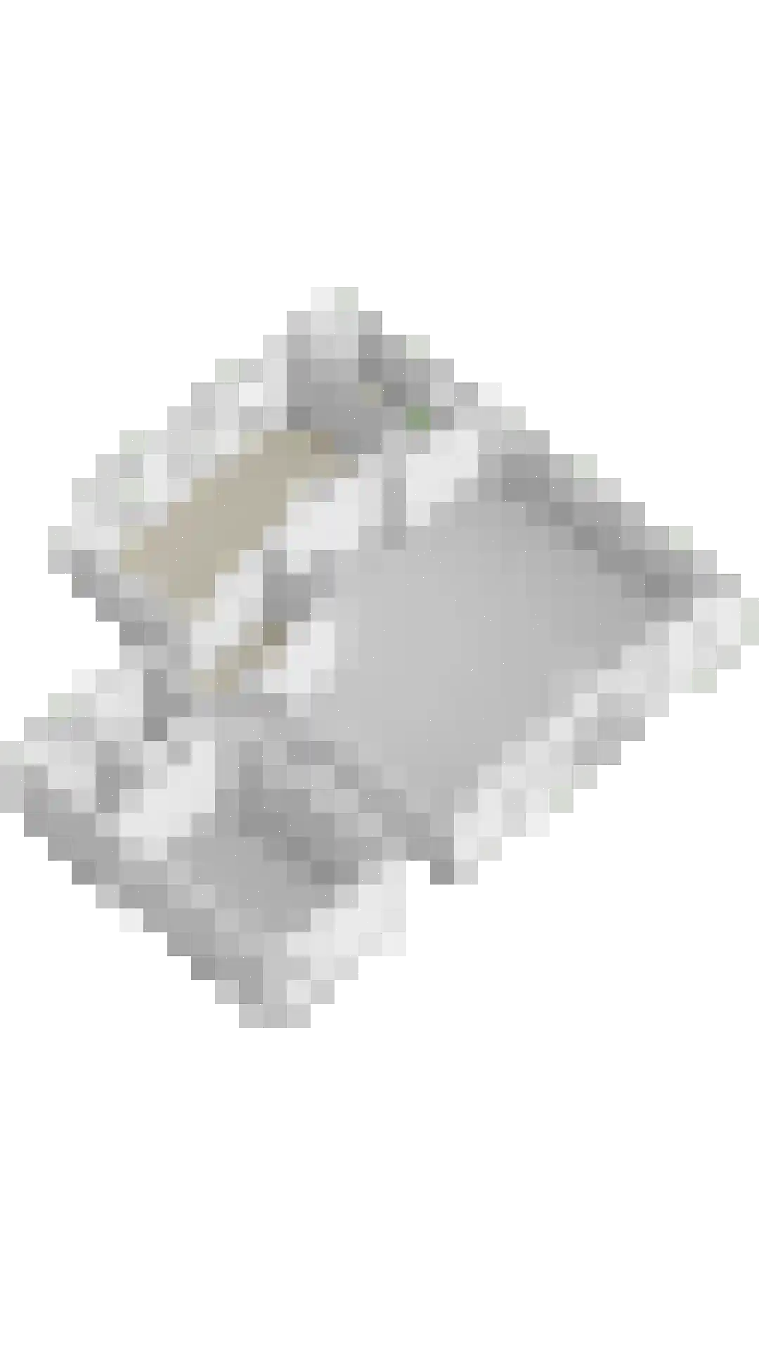 Raarhoeksweg 37 Raalte thumbnail 35