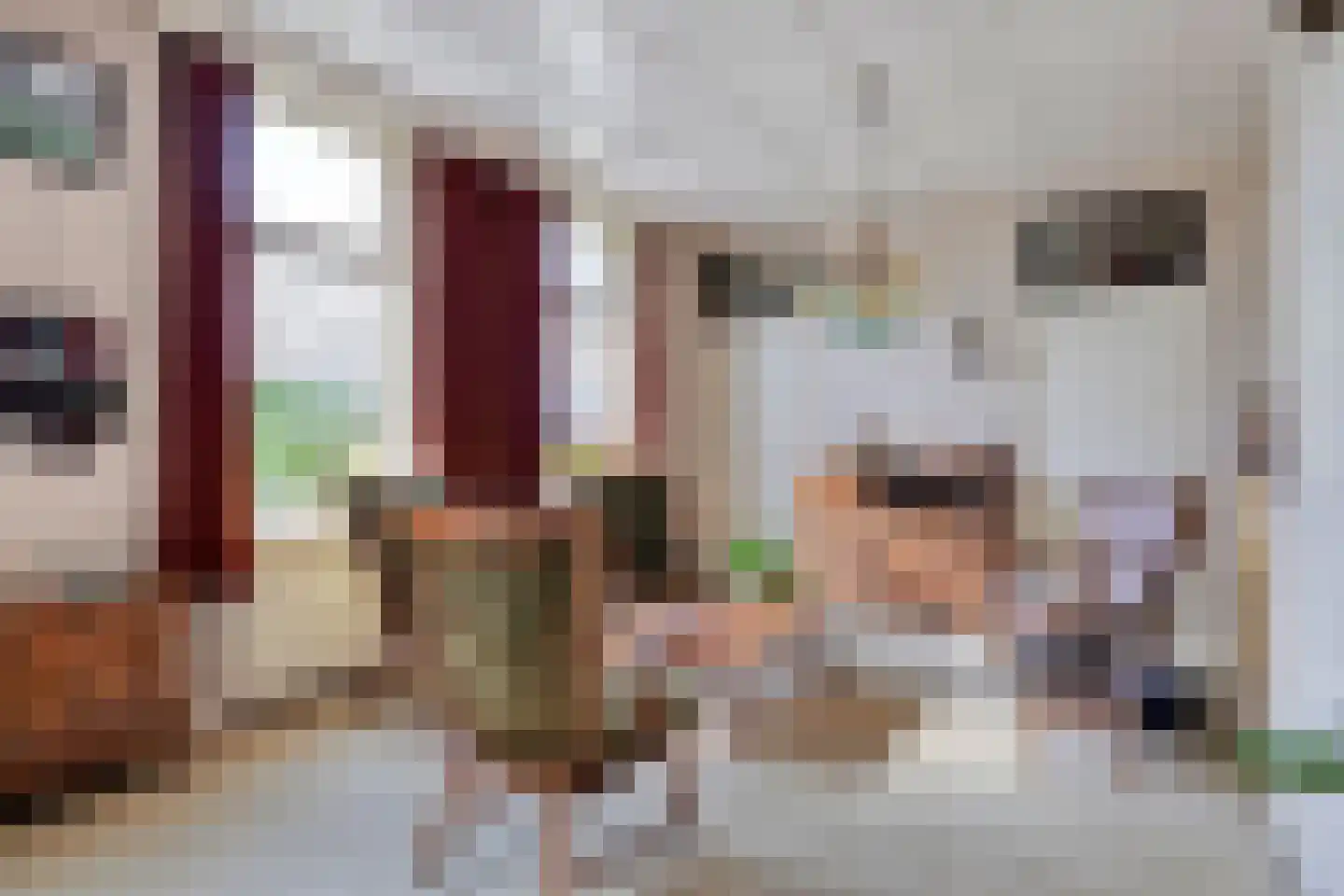 Raarhoeksweg 37 Raalte thumbnail 6