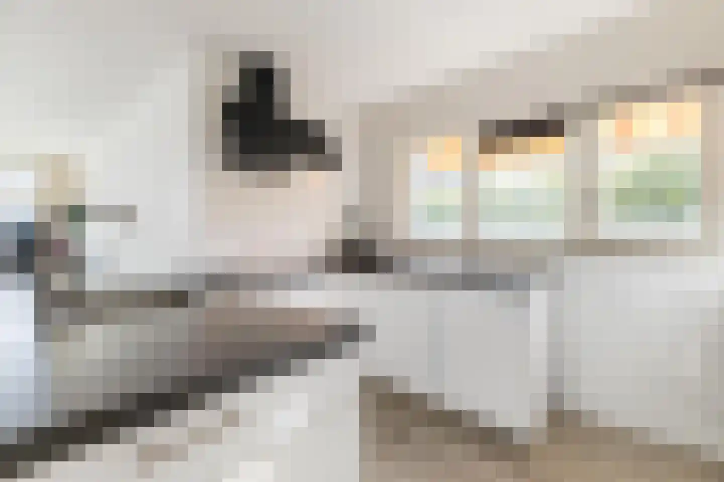 Raasdorperweg 14 Lijnden thumbnail 10