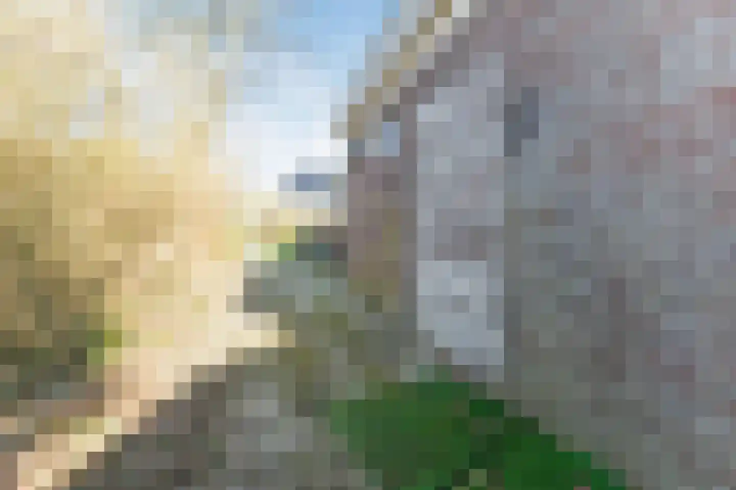 Raasdorperweg 14 Lijnden thumbnail 63