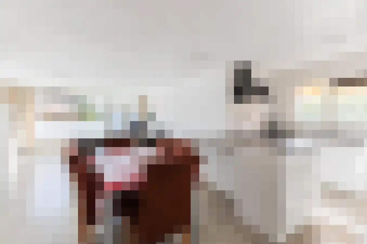 Raasdorperweg 14 Lijnden thumbnail 8