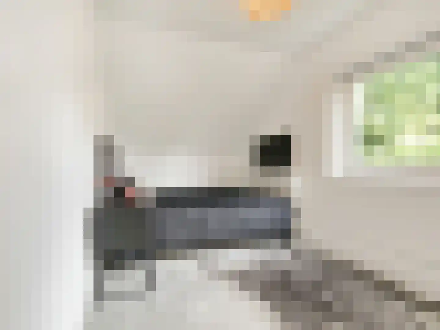 Raasdorperweg 26 Lijnden thumbnail 21