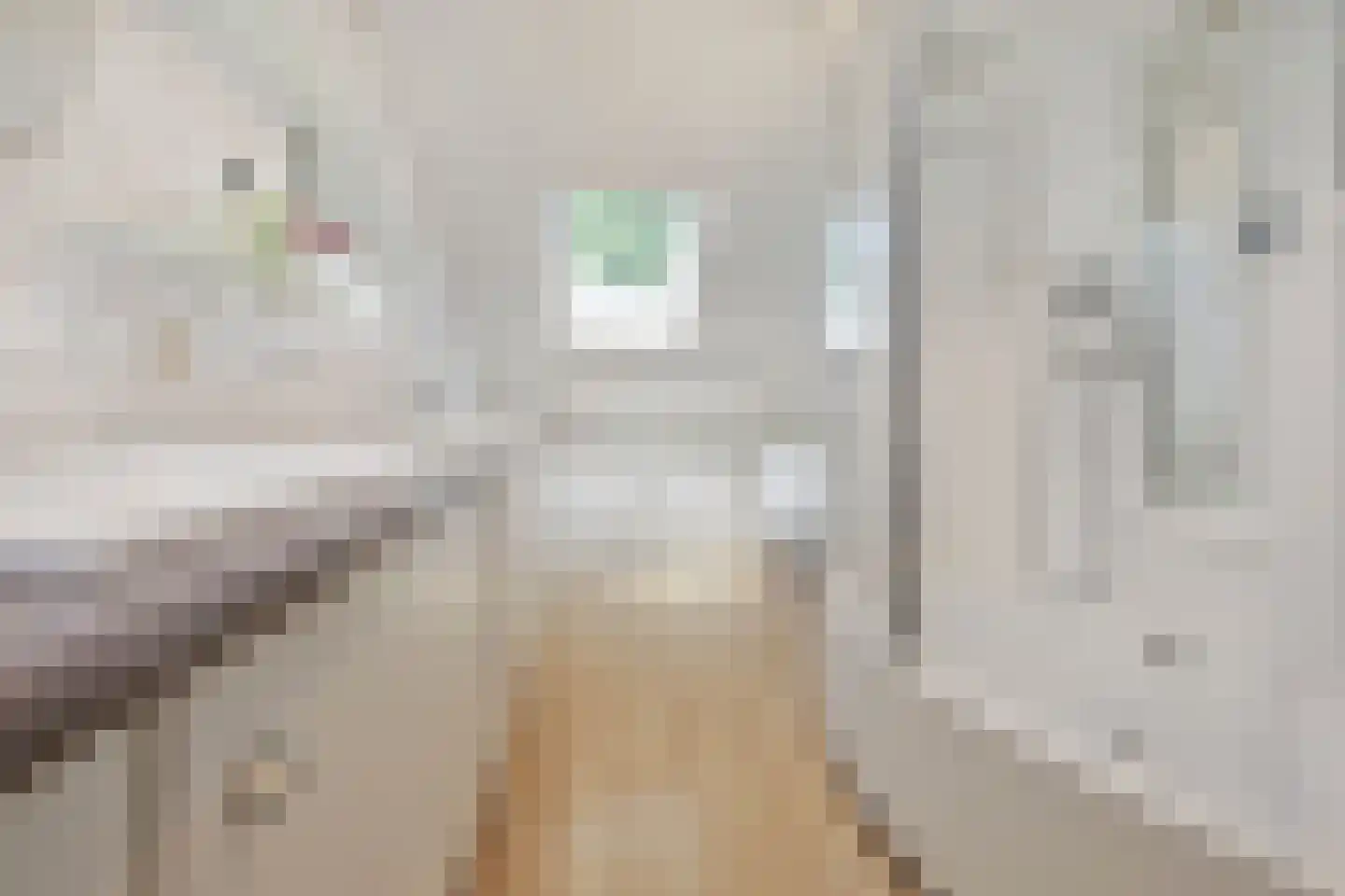 Raasdorperweg 26 Lijnden thumbnail 25
