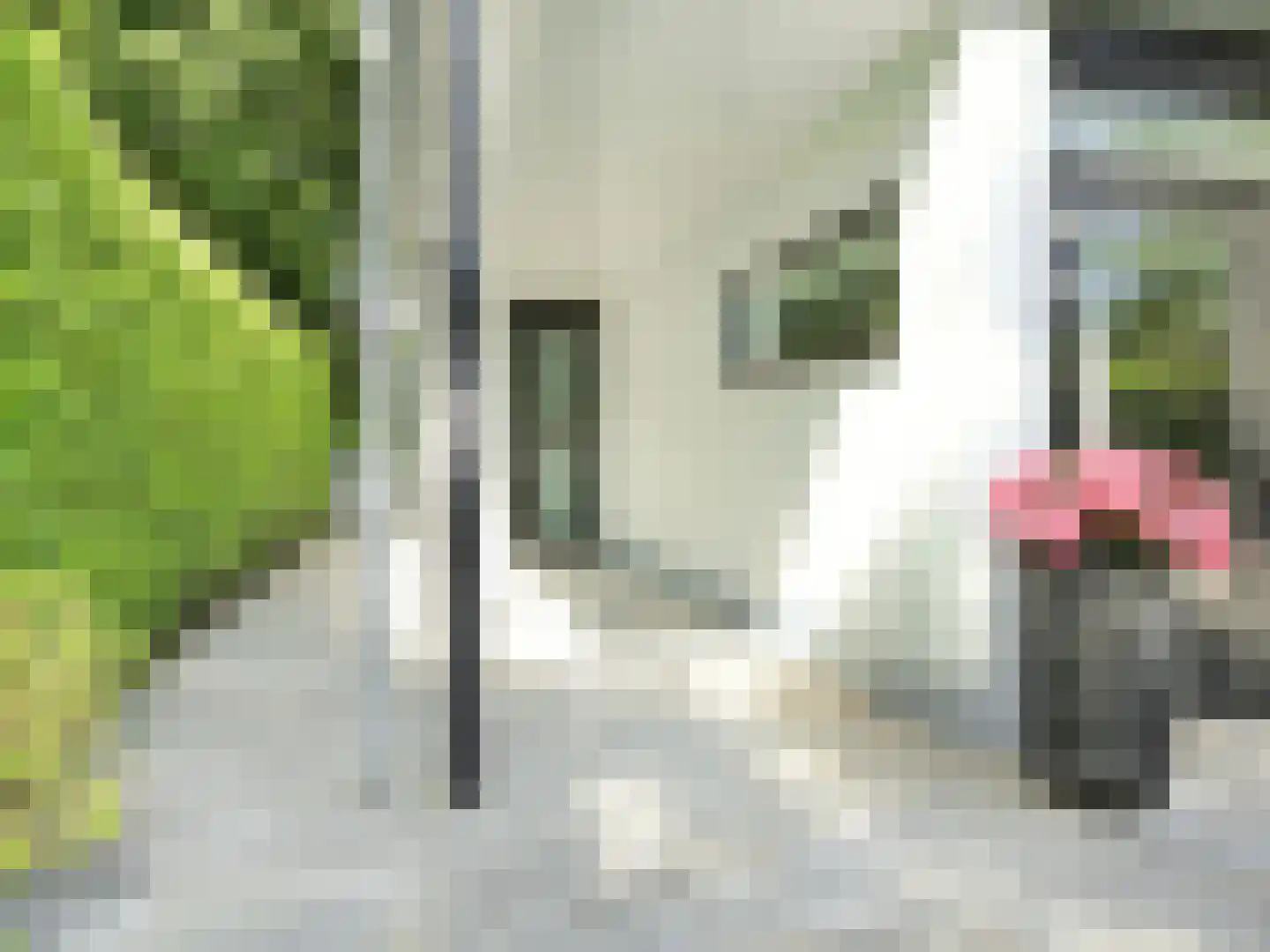 Raasdorperweg 26 Lijnden thumbnail 34