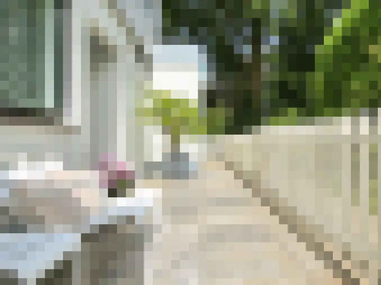 Raasdorperweg 26 Lijnden thumbnail 35