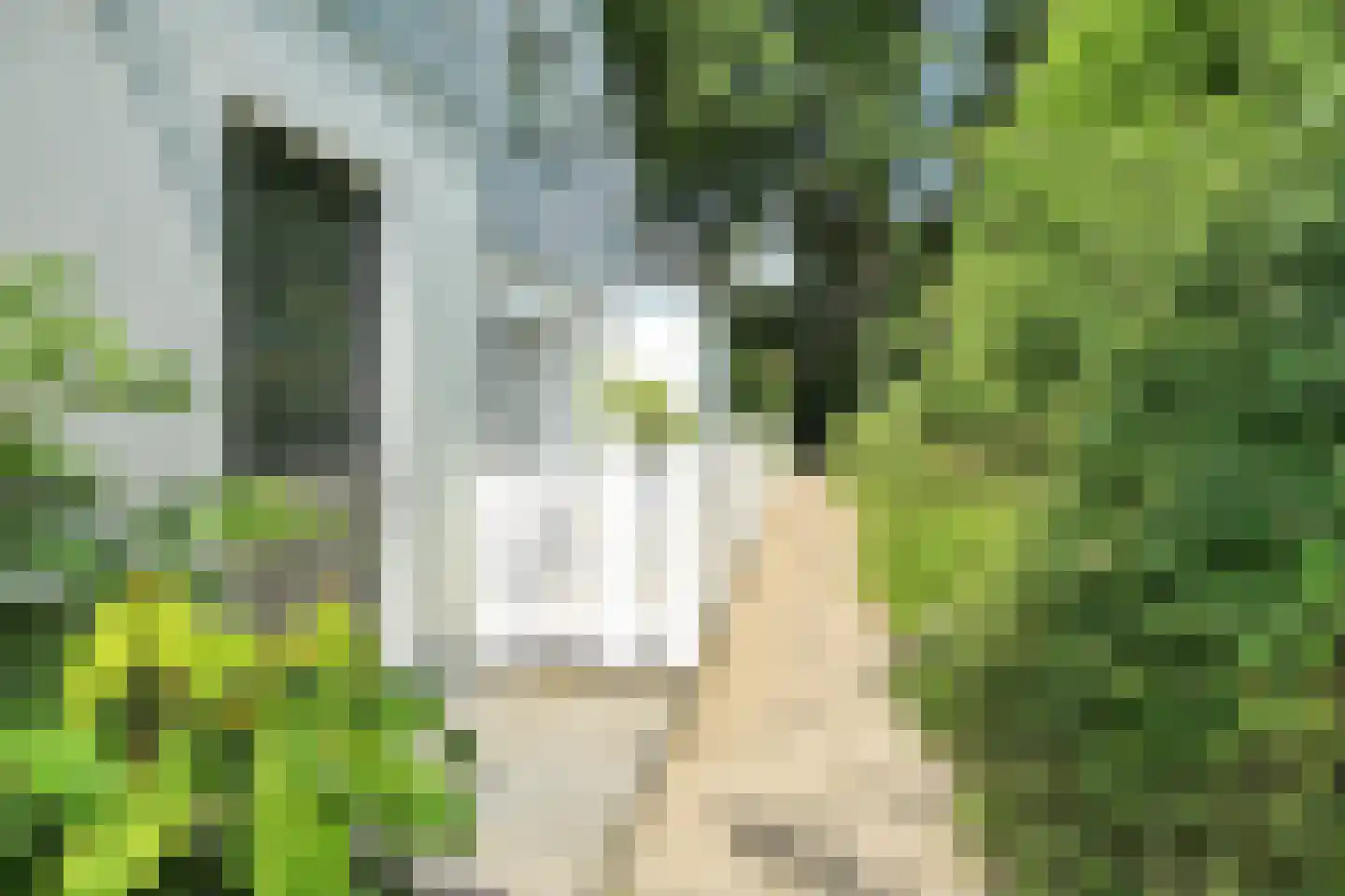 Raasdorperweg 26 Lijnden thumbnail 36