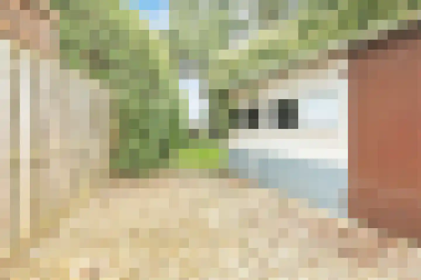 Raasdorperweg 32 Lijnden thumbnail 20