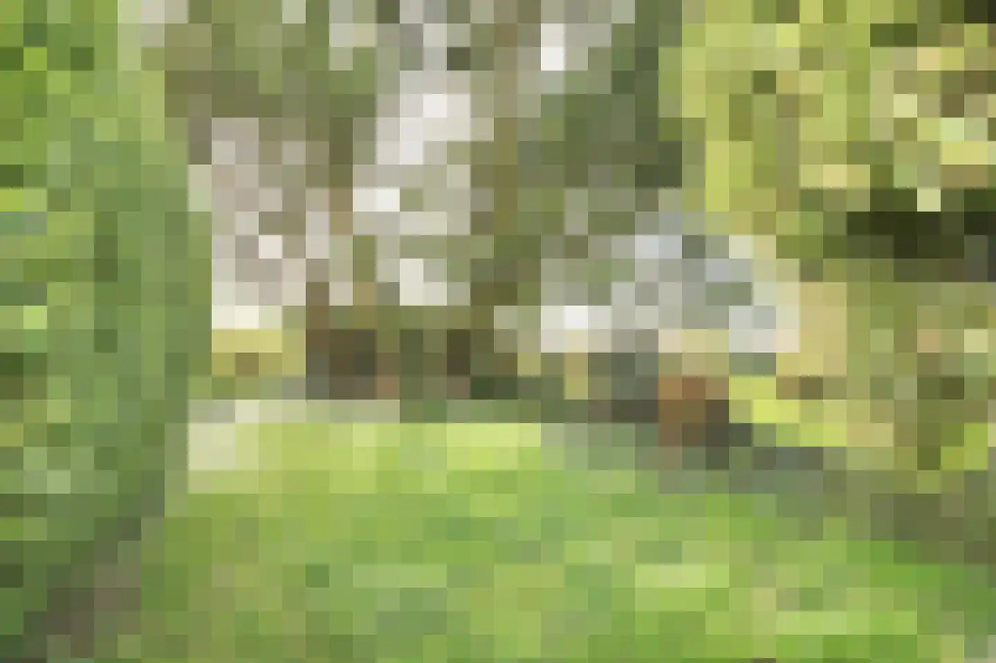Raasdorperweg 32 Lijnden thumbnail 21