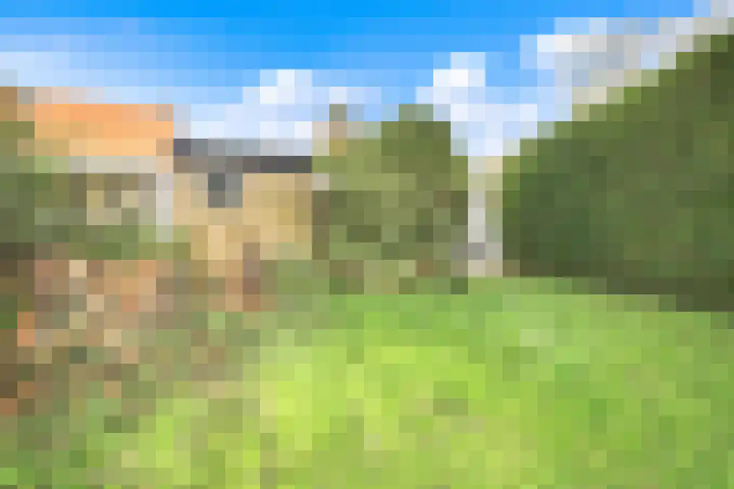 Raasdorperweg 32 Lijnden thumbnail 23