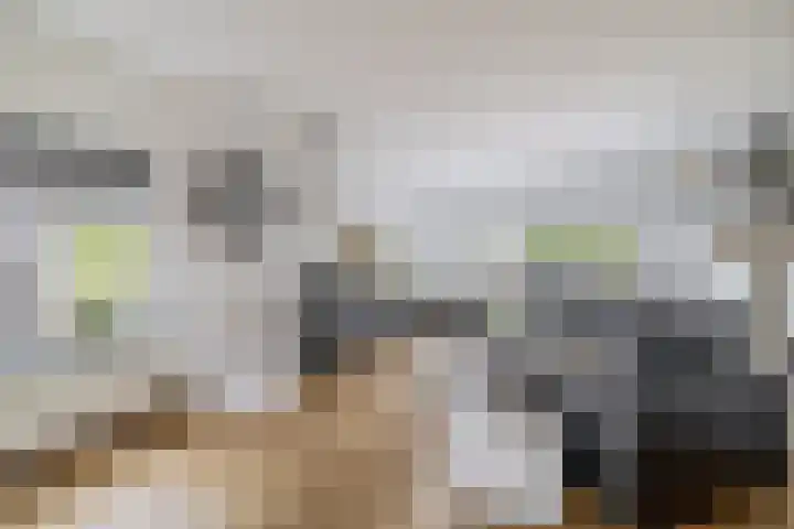 Raasdorperweg 40 Lijnden thumbnail 4