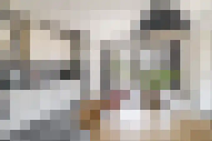 Raasdorperweg 40 Lijnden thumbnail 7