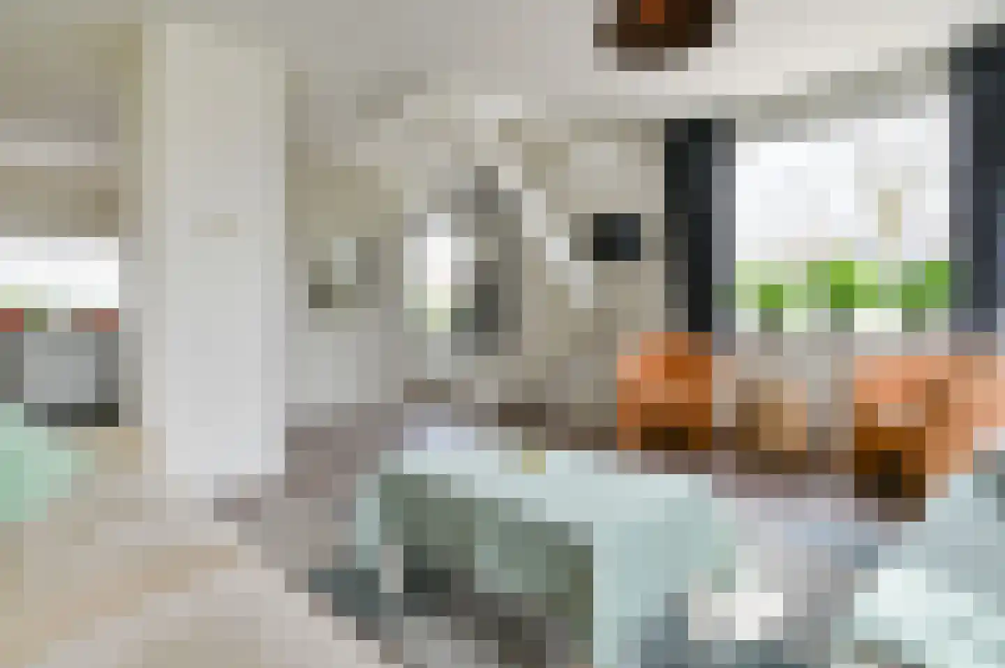 Raasdorperweg 94 Lijnden thumbnail 4