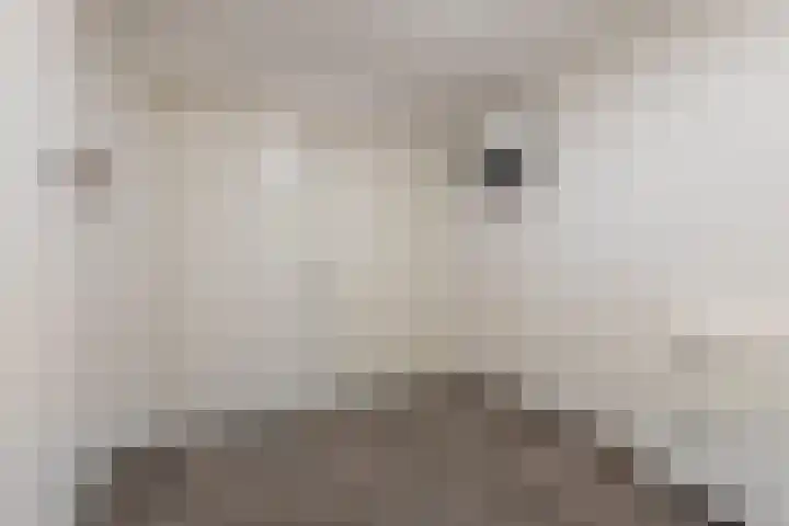 Raatakker 1 Bant thumbnail 13