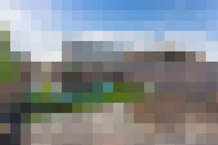 Raatakker 1 Bant thumbnail 33