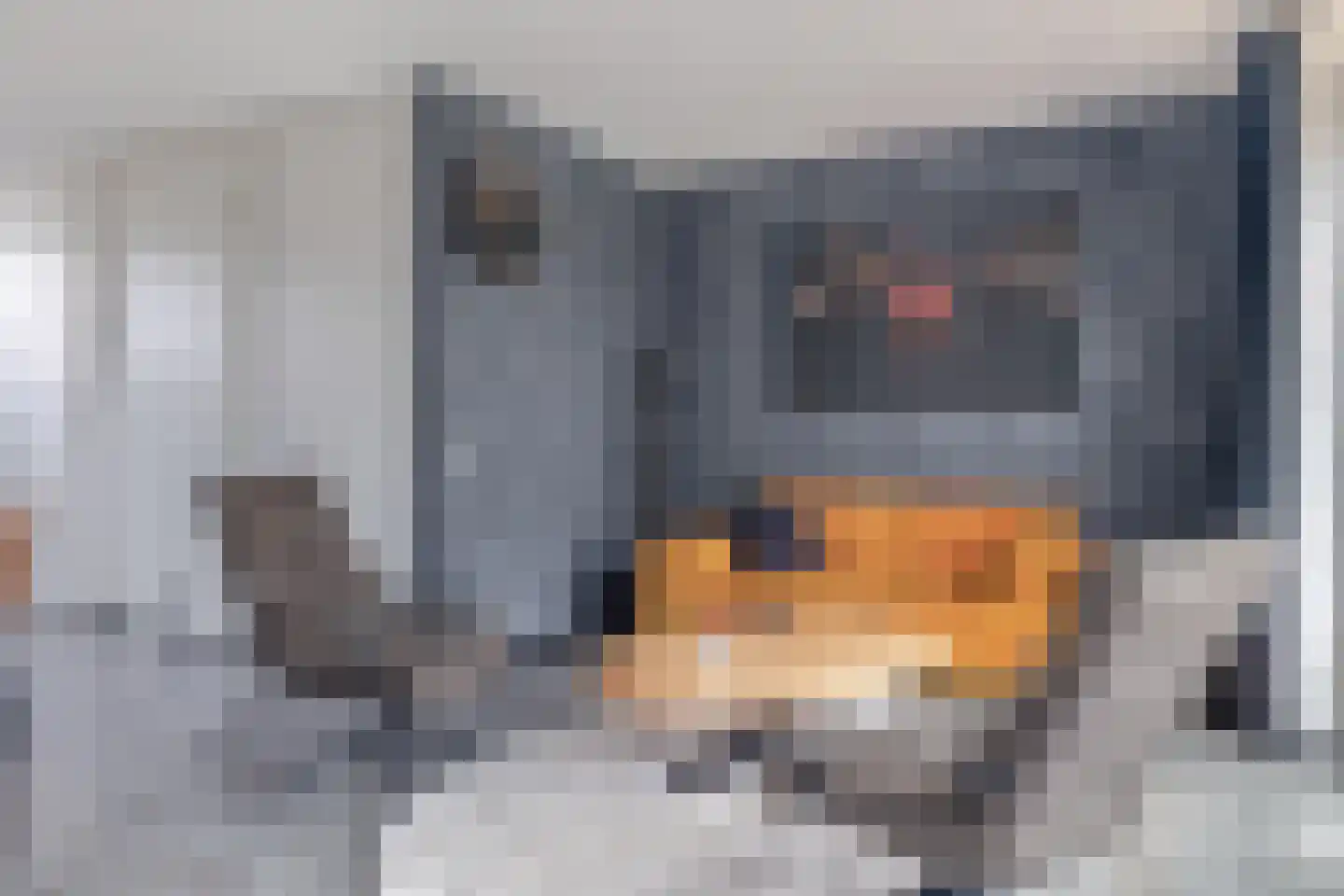 Raatakker 12 Bant thumbnail 12