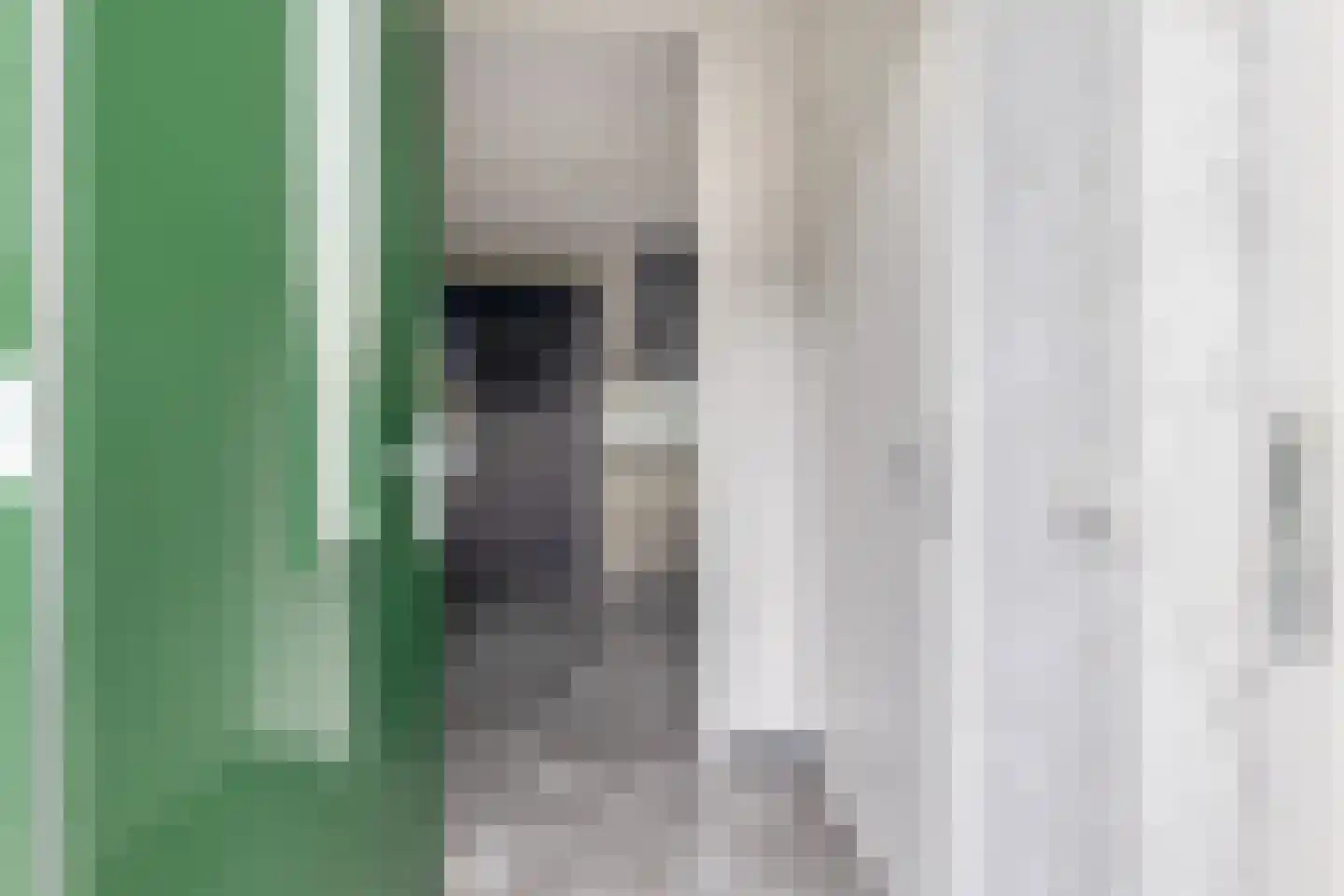Raatakker 12 Bant thumbnail 6