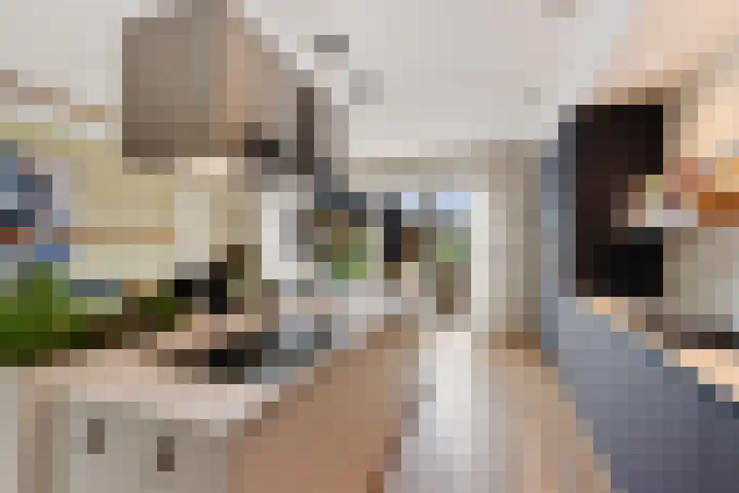 Raatakker 28 Bant thumbnail 17