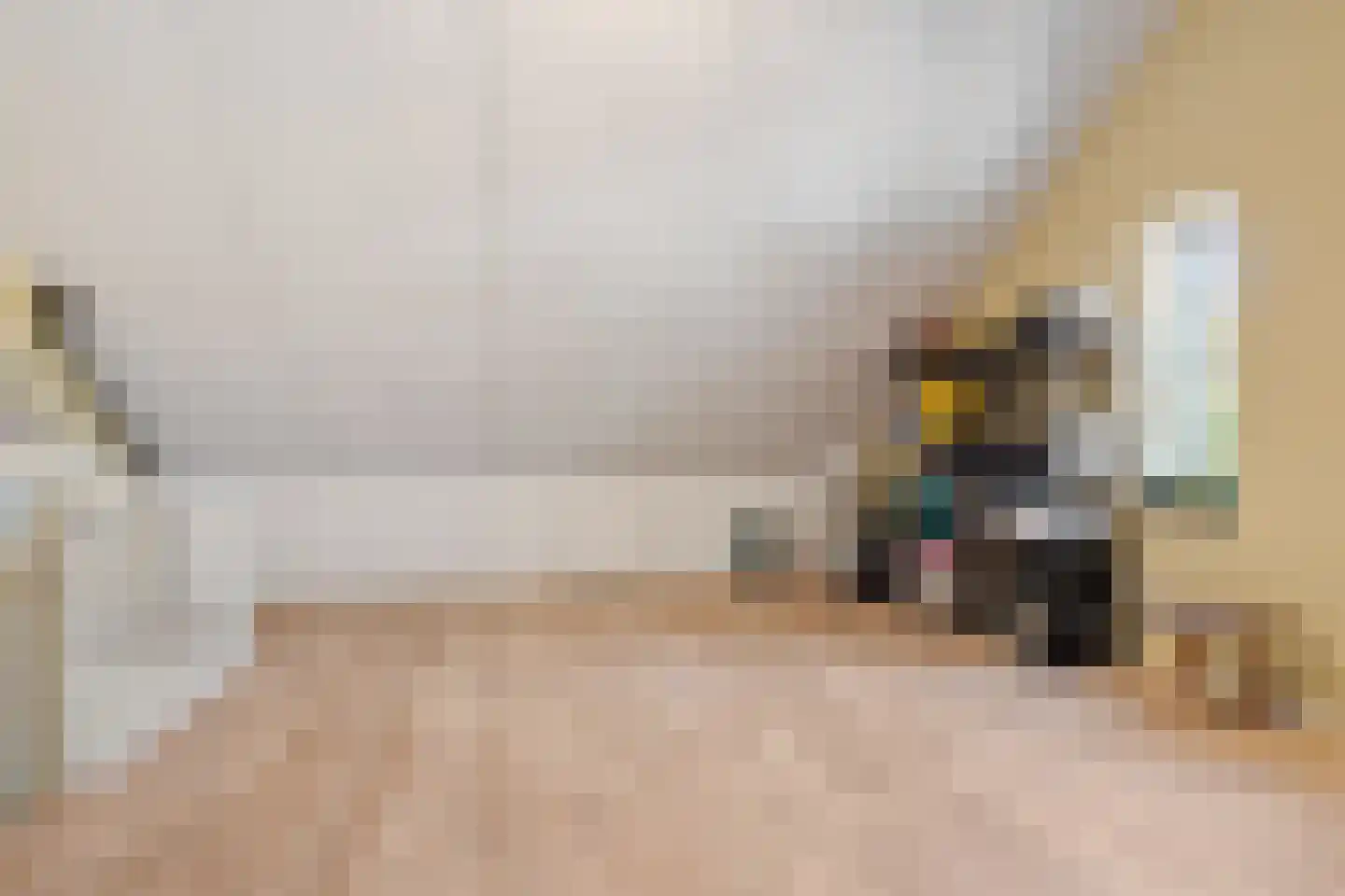 Raatakker 28 Bant thumbnail 35
