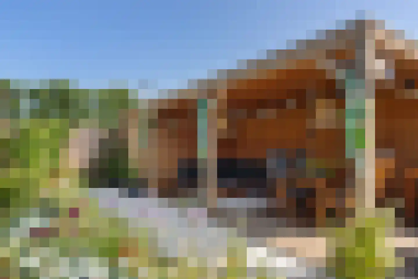 Raatakker 28 Bant thumbnail 38
