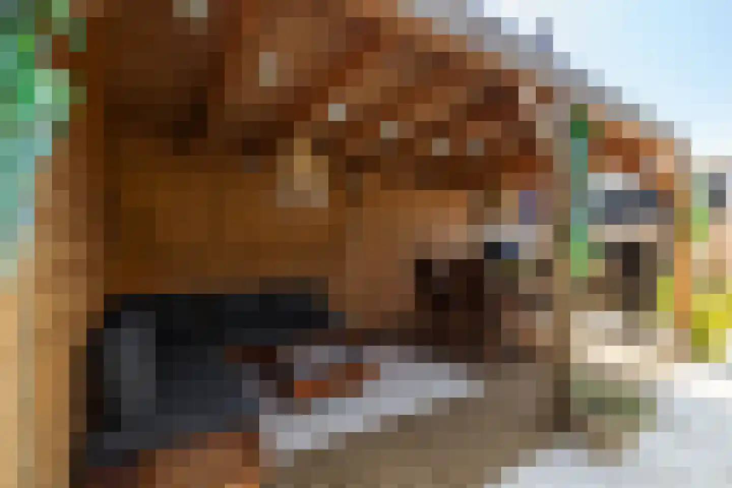 Raatakker 28 Bant thumbnail 42