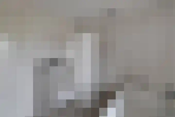 Raatakker 4 Bant thumbnail 32