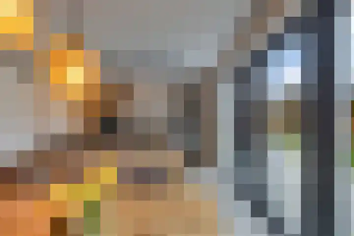 Raatakker 4 Bant thumbnail 4