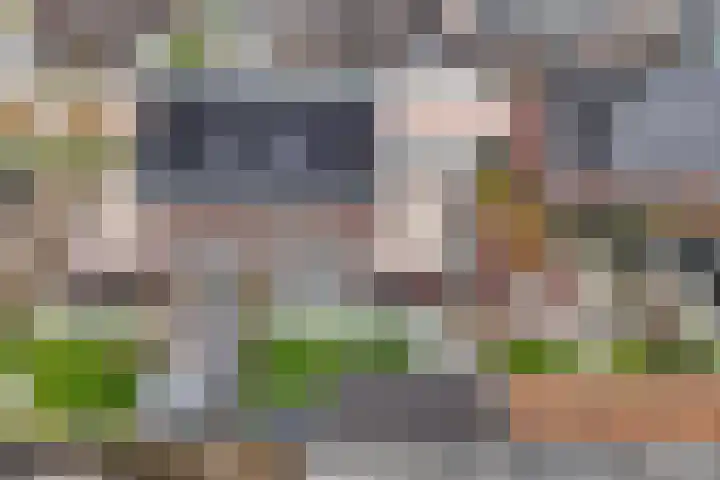 Raatakker 4 Bant thumbnail 49