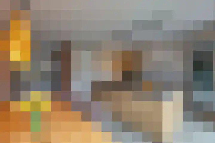 Raatakker 4 Bant thumbnail 6