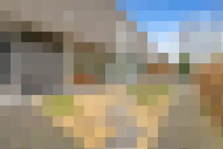 Raath 12 en Bingelrade