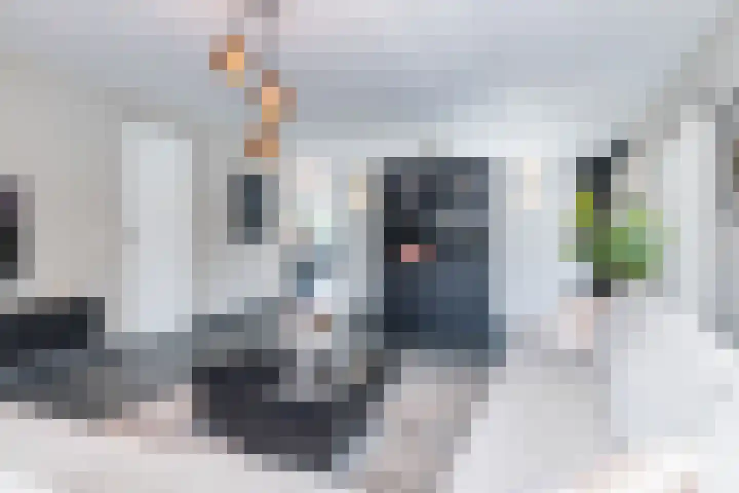 Raath 12 Bingelrade thumbnail 10