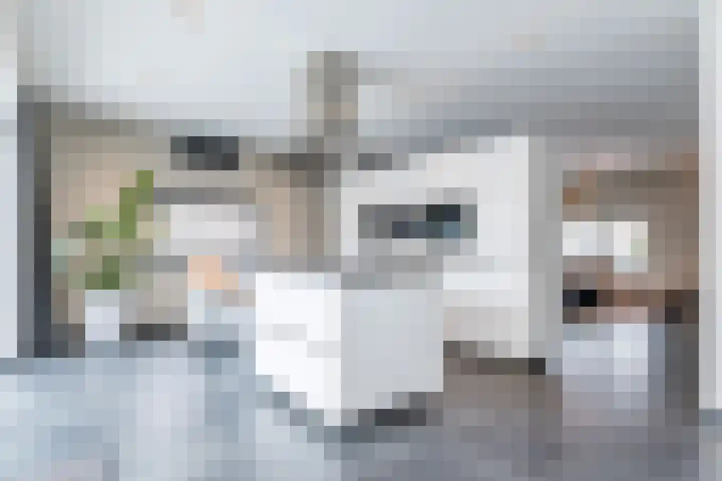 Raath 12 Bingelrade thumbnail 5