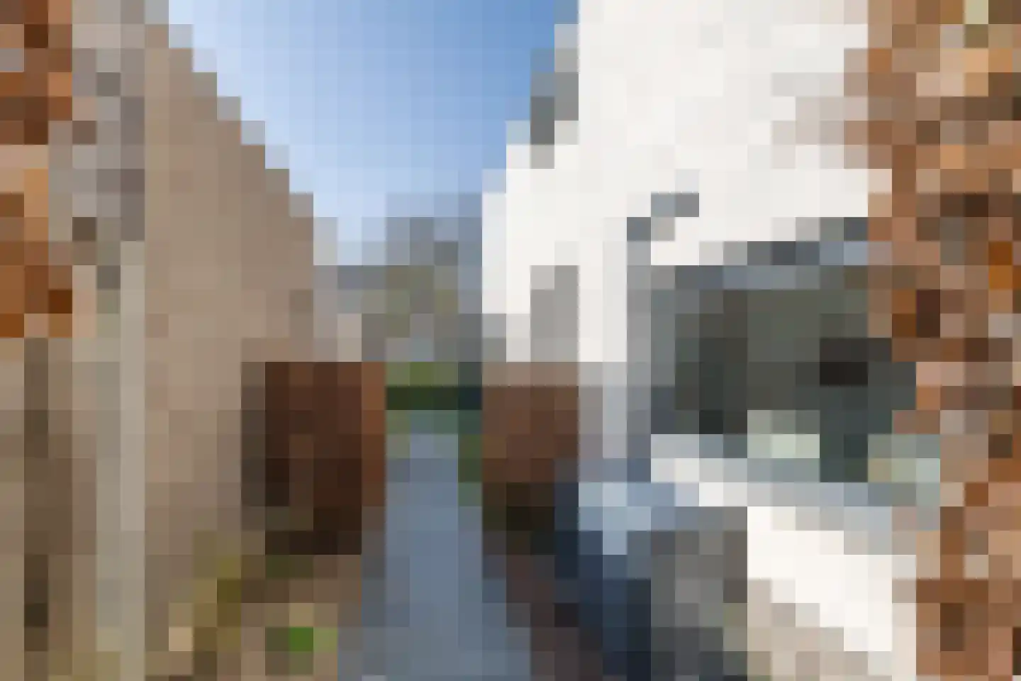Raath 12 Bingelrade thumbnail 61