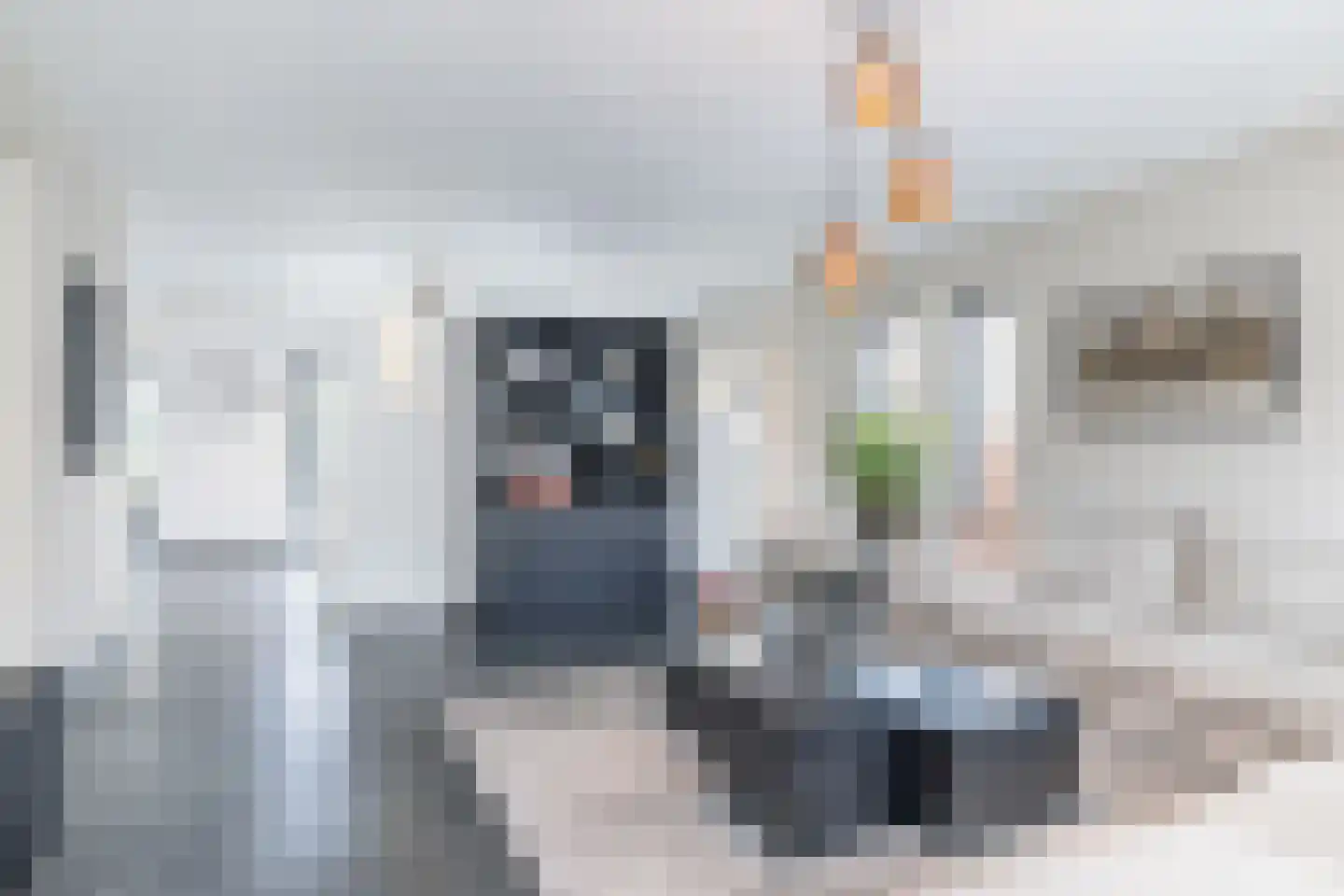 Raath 12 Bingelrade thumbnail 9