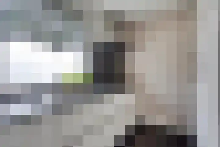 Raatven 2 Eindhoven thumbnail 13
