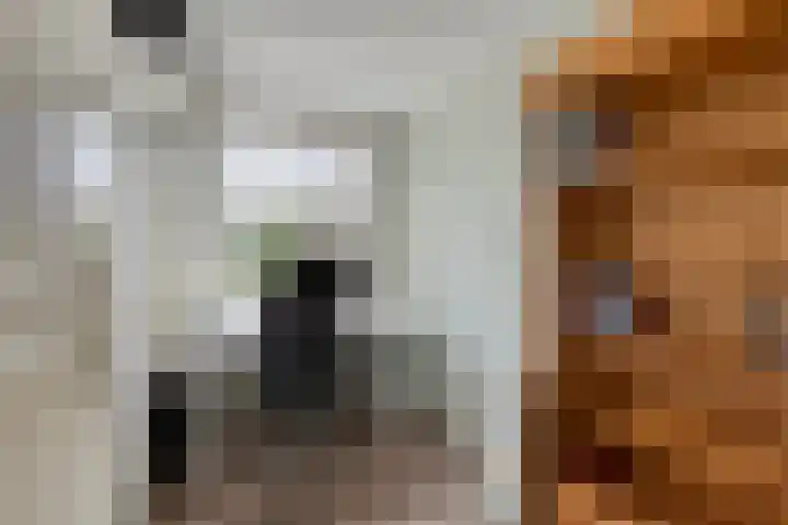 Raatven 2 Eindhoven thumbnail 20