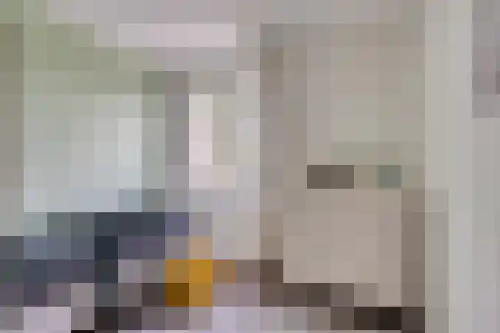 Raatven 2 Eindhoven thumbnail 21