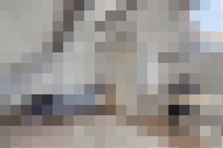 Raatven 2 Eindhoven thumbnail 26